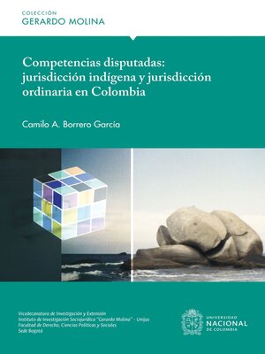 cover image of Competencias disputadas